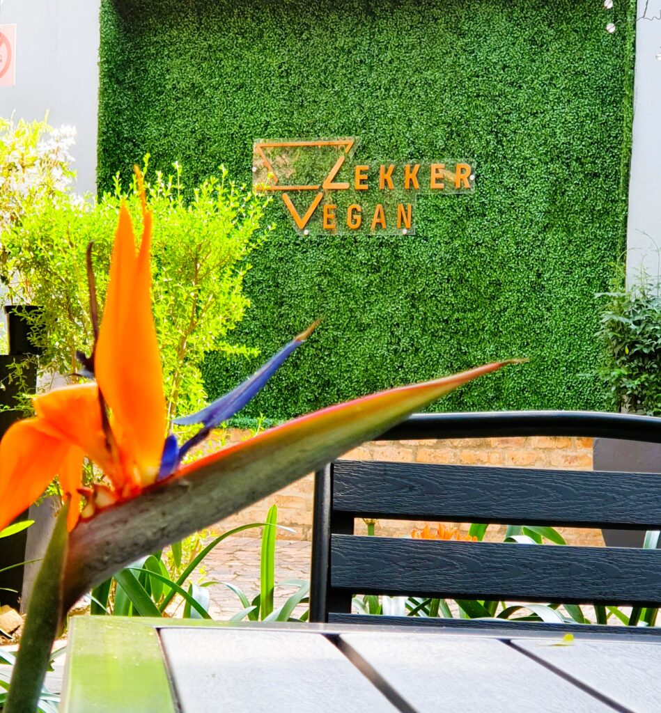 gallery-1765358336722-tfcn7h