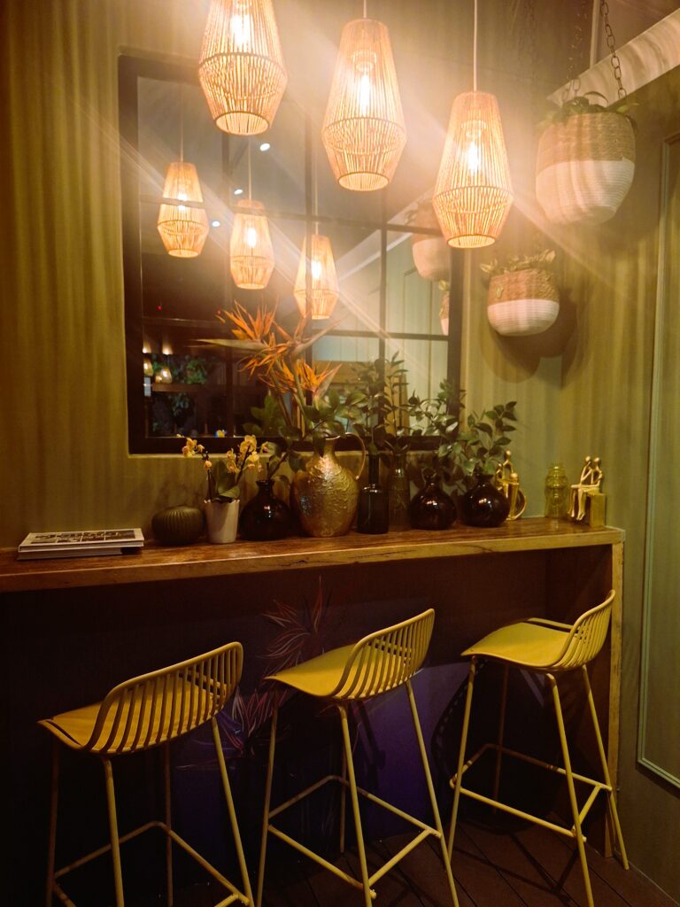 gallery-1765358341952-to06tp