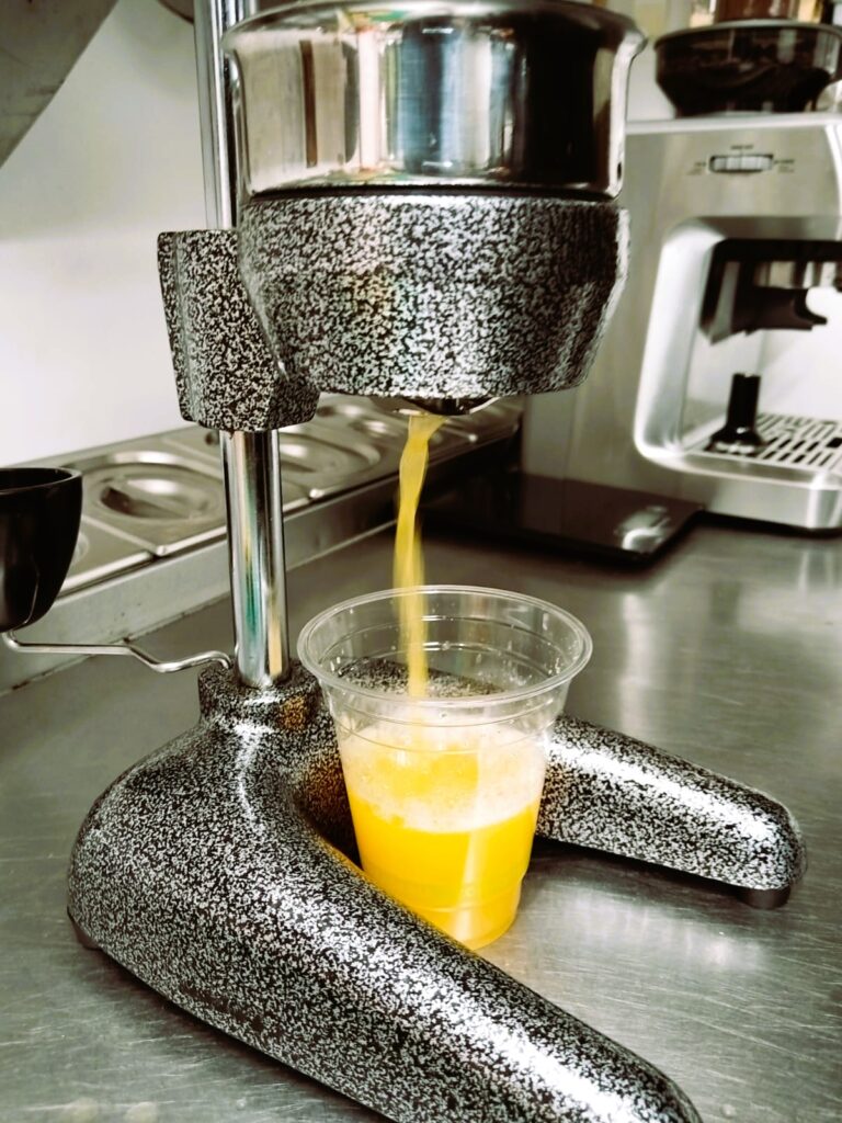 gallery-1765358346364-uj05fa