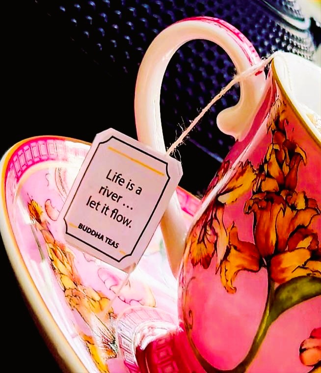 gallery-1765358348337-760g6c